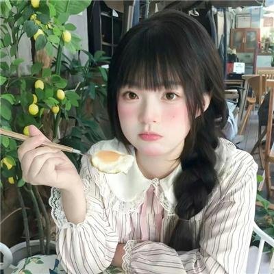 秋田犬蓬夫